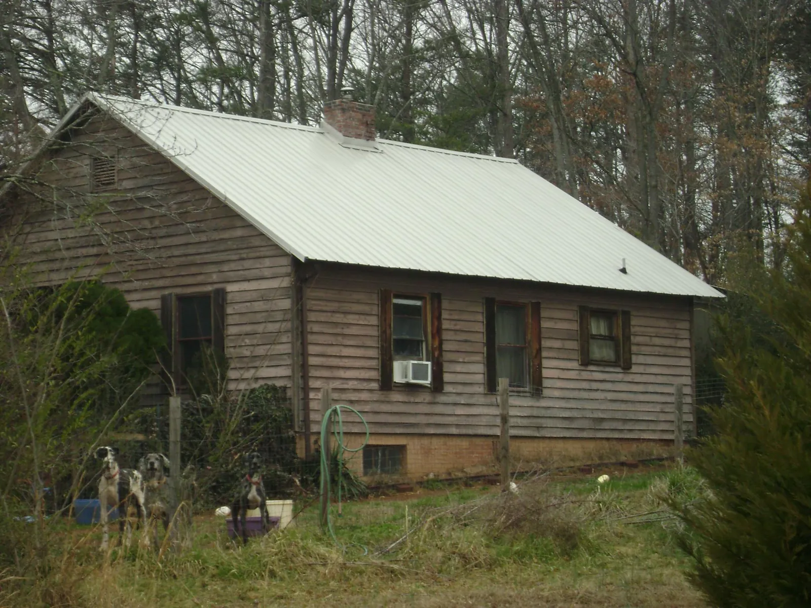 White metal roof on an old wood sided farmhouse, from a Asphalt Shingle Roof Repair job in Jerseyville